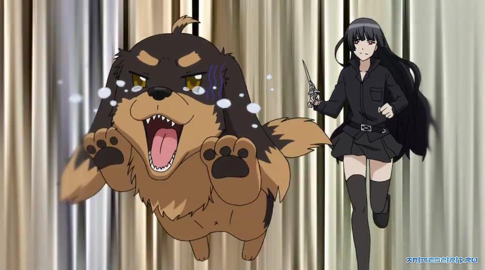 Ода корица нобунага. Собачья жизнь бейли. О моём перерождении в слизь ранго. Дорога зверя / hataage! kemono michi. Inu to hasami wa tsukaiyou.